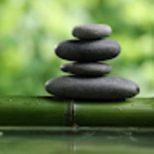 Meet your Posher, Trinh